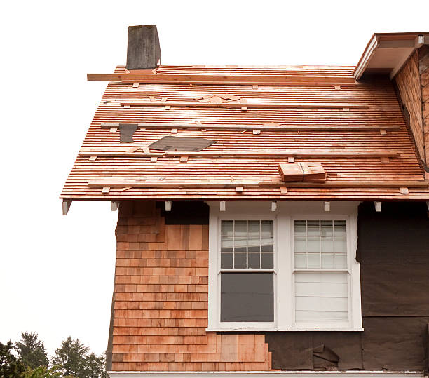 Trusted Lauderdale Lakes, WI Siding Installation & Repair Experts